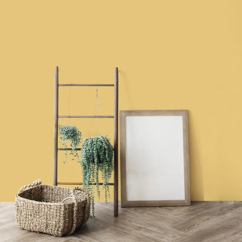 Jaune Pastel